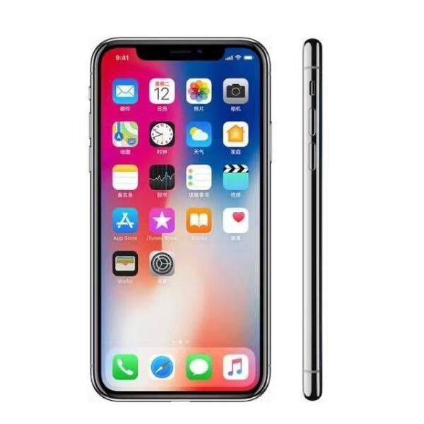 iPhone X